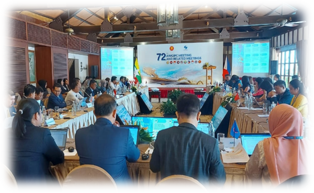 DGIP: Participates in 72nd ASEAN Working Group on Intellectual Property Cooperation Meeting