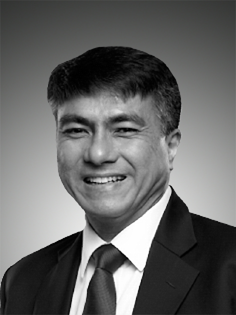 Dr Darwin Cyril Noerhadi director investment and strategy leader